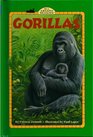 Gorillas GB