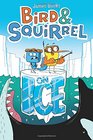 Bird & Squirrel on Ice