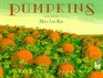 Pumpkins A Story for a Field