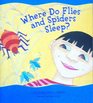 Where do flies and spiders sleep