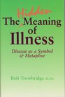 The Hidden Meaning of Illness Disease As a Symbol and Metaphor
