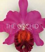 The Orchid From the Archives of the Royal Horticultural Society