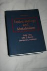 Endocrinology and Metabolism