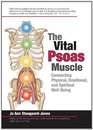 The Vital Psoas Muscle Connecting Physical Emotional and Spiritual WellBeing