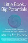 Little Book of Big Potentials 24 Fields of Flow Fulfillment Abundance and Joy in Everyday Life
