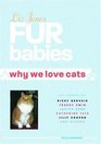 Fur Babies Why We Love Cats