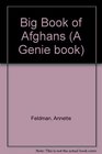 The big book of afghans