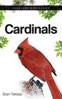 Cardinals (Backyard Birds)