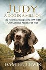 Judy A Dog in a Million From Runaway Puppy to the World's Most Heroic Dog