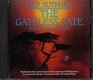 The Gateless Gate Meditation Journey
