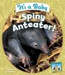 It's a Baby Spiny Anteater