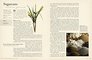 Fifty Plants that Changed the Course of History (Fifty Things That Changed the Course of History)