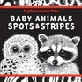 Baby Animals Spots  Stripes