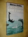 Tale of Two Dolphins
