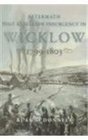 Aftermath PostRebellion Insurgency in Wicklow 17991803