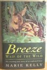 Breeze Waif of the Wild