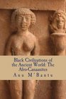 Black Civilizations of the Ancient World The AfroCanaanites