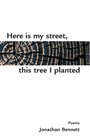 Here Is My Street This Tree I Planted