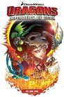 Dragons Defenders of Berk Volume 1