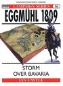 Eggmuhl 1809 Storm over Bavaria