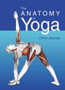 The Anatomy of Yoga