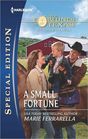 A Small Fortune (Fortunes of Texas: Southern Invasion, Bk 3) (Harlequin Special Edition, No 2246)