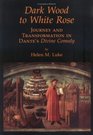 Dark Wood to White Rose Journey and Transformation in Dante's Divine Comedy