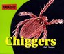 Chiggers