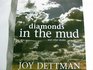 Diamonds in the Mud and Other Stories