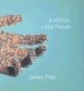 A Million Little Pieces (Audio CD) (Abridged)