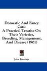 Domestic And Fancy Cats A Practical Treatise On Their Varieties Breeding Management And Disease