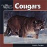 Cougars (Our Wild World)