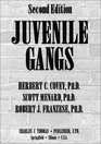 Juvenile Gangs