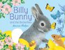 Billy Bunny and the Butterflies