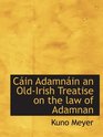 Cin Adamnin an OldIrish Treatise on the law of Adamnan