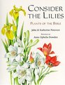 Consider the Lilies Plants of the Bible