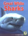 Great White Sharks (Early Bird Nature)