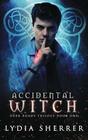 Accidental Witch  Dark Roads Trilogy Book One