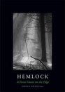 Hemlock A Forest Giant on the Edge