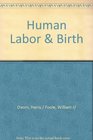 Human Labour and Birth