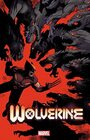 Wolverine Vol 2
