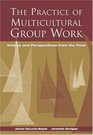 The Practice of Multicultural Group Work  Visions and Perspectives from the Field