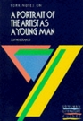 York Notes on A Portrait of the Artist As a Young Man by James Joyce