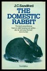 Domestic Rabbit