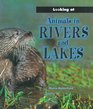 Animals in Rivers and Lakes