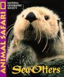 Animal Safari  Sea Otters