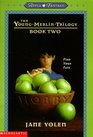 Hobby (Young Merlin Trilogy, Bk 2)