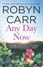 Any Day Now (Sullivan's Crossing, Bk 2)