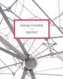 Antony Gormley Aperture