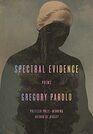 Spectral Evidence Poems